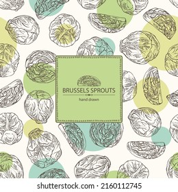 Background with brussels sprouts: head of cabbage, full brussels sprouts and brussels sprouts piece. Vector hand drawn illustration. 