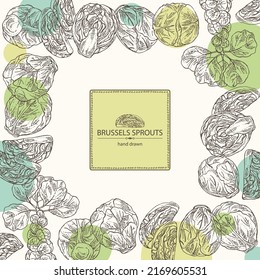 Background with brussels sprouts: head of cabbage, full brussels sprouts and brussels sprouts piece. Vector hand drawn illustration. 