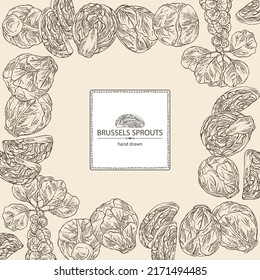 Background with brussels sprouts: head of cabbage, full brussels sprouts and brussels sprouts piece. Vector hand drawn illustration. 