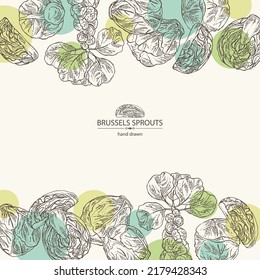 Background with brussels sprouts: head of cabbage, full brussels sprouts and brussels sprouts piece. Vector hand drawn illustration. 