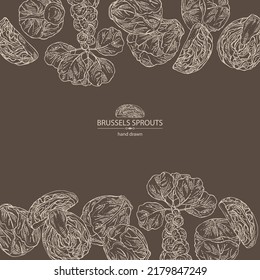 Background with brussels sprouts: head of cabbage, full brussels sprouts and brussels sprouts piece. Vector hand drawn illustration. 