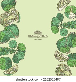 Background with brussels sprouts: head of cabbage, full brussels sprouts and brussels sprouts piece. Vector hand drawn illustration. 