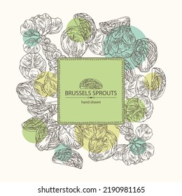 Background with brussels sprouts: head of cabbage, full brussels sprouts and brussels sprouts piece. Vector hand drawn illustration. 