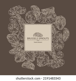 Background with brussels sprouts: head of cabbage, full brussels sprouts and brussels sprouts piece. Vector hand drawn illustration. 