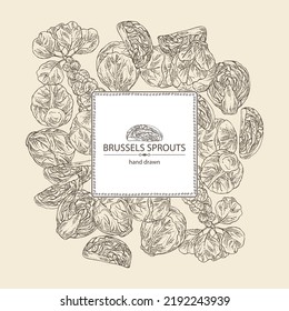 Background with brussels sprouts: head of cabbage, full brussels sprouts and brussels sprouts piece. Vector hand drawn illustration. 