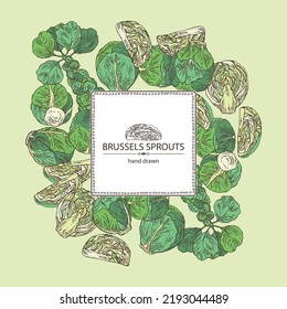 Background with brussels sprouts: head of cabbage, full brussels sprouts and brussels sprouts piece. Vector hand drawn illustration. 