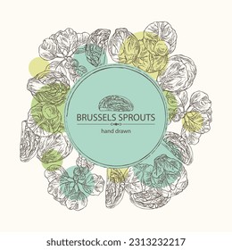 Background with brussels sprouts: head of cabbage, full brussels sprouts and brussels sprouts piece. Vector hand drawn illustration. 