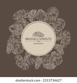 Background with brussels sprouts: head of cabbage, full brussels sprouts and brussels sprouts piece. Vector hand drawn illustration. 