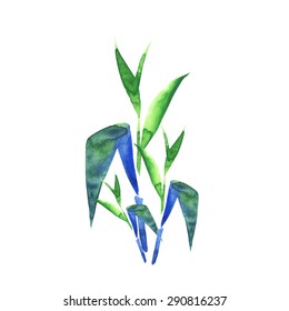 background bulrush drawing watercolor paints