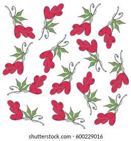 Background with bunch of grapes. Vector illustration. Isolated