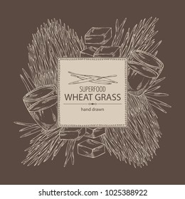 Background with bundle of wheat grass and cocktail of juice wheat grass. Superfood. Vector hand drawn illustration.