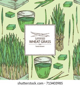 Background with bundle of wheat grass and cocktail of juice wheat grass. Superfood. Vector hand drawn illustration.