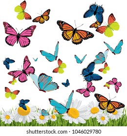 background with butterflies, daisies, grass