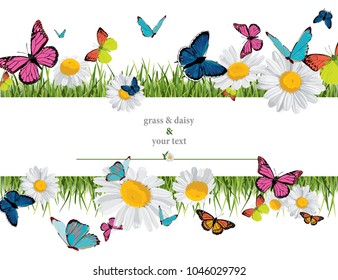 background with butterflies, daisies, grass