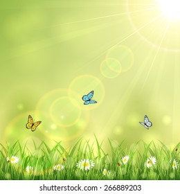 Background with butterflies, summer nature with Sun and flowers in the grass, illustration.