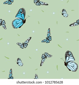 background with butterflies.vector illustration