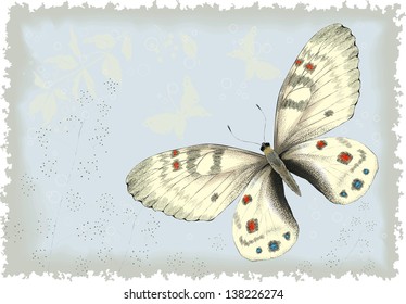 Background with butterfly. All objects are isolated and separated to layers.