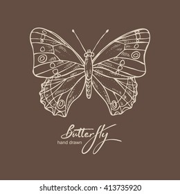 Background with butterfly. hand drawn