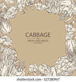 Background with cabbage: broccoli, chinese cabbage, kohlrabi and cauliflower. hand drawn