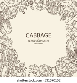 Background with cabbage: broccoli, chinese cabbage, kohlrabi and cauliflower. hand drawn