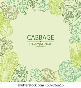 Background with cabbage: broccoli, chinese cabbage, kohlrabi and cauliflower. hand drawn