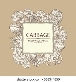 Background with cabbage: broccoli, chinese cabbage, kohlrabi and cauliflower. hand drawn