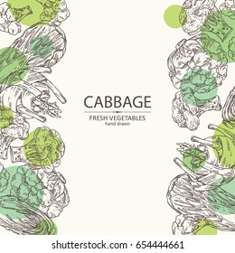 Background with cabbage: broccoli, chinese cabbage, kohlrabi and cauliflower. Vector hand drawn illustration.