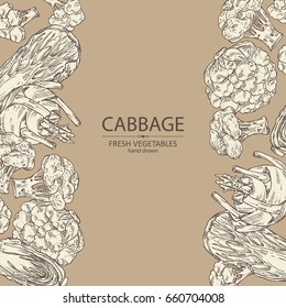 Background with cabbage: broccoli, chinese cabbage, kohlrabi and cauliflower. Vector hand drawn illustration.