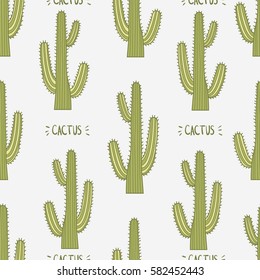 Background with cactus, hand drawn icons vector. Big collection of cactus, sketch objects. Colorful seamless pattern with plants. Decorative wallpaper, good for printing