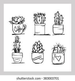 Background with cactus and succulent in cup and flowerpot, vector illustration