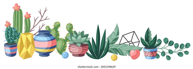 Background with cactuses and succulents. Decorative spiky flowering cacti and plants in flowerpots.