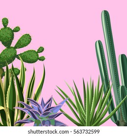 Background with cactuses and succulents set. Plants of desert.