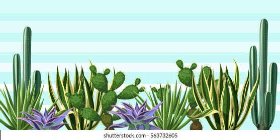 Fondo con cactus y juego de suculentos. Plantas del desierto.