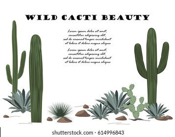 Background with cactuses and succulents set. Plants of desert.