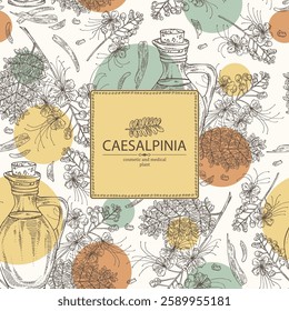 Background with caesalpinia: caesalpinia plant, leaves, caesalpinia flowers, bark and bottle of caesalpinia oil. Vector hand drawn illustration.