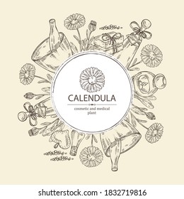 Hintergrund mit Calendula: Kalendula Blumen, Knospen, Kalendula, Ranch, Seife und Badesalz. Kosmetische und medizinische Pflanze. handgezeichnete Vektorgrafik