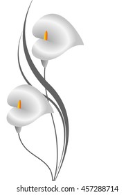 Background with calla, design element.