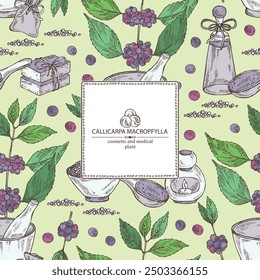 Background with callicarpa macrophylla: callicarpa macrophylla plant, leaves and callicarpa macrophylla berries. Cosmetic, perfumery and medical plant. Vector hand drawn illustration