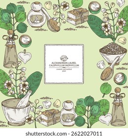 Background with calophyllum inophyllum: plant, leaves, alexandria laurelnuts and calophyllum inophyllum flowers. Alexandria laurelnuts. Oil, soap and bath salt . Cosmetics and medical plant