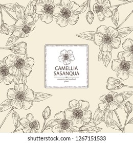 Background with camellia sasanqua: leaves, camellia sasanqua flowers and bud. Cosmetic, perfumery and medical plant. Vector hand drawn illustration