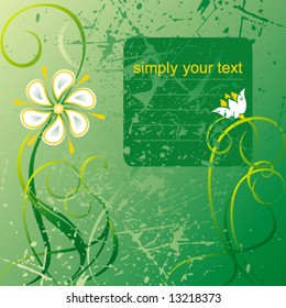 background with camomile. green