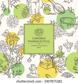 Background with camomile: leaves, seeds, flowers, essential oil, soap and bath salt . Cosmetic, perfumery and medical plant. Vector hand drawn illustration. 