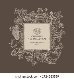 Background with camomile: leaves, seeds, flowers, essential oil, soap and bath salt . Cosmetic, perfumery and medical plant. Vector hand drawn illustration. 