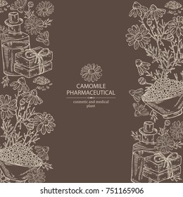 Background with camomile: leaves, seeds, flowers, essential oil, soap and bath salt . Cosmetic, perfumery and medical plant. Vector hand drawn illustration. 