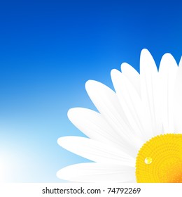 Background With Camomiles, Vector Illustration