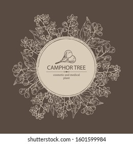 Background with camphor: branch of camphor tree, leaves, berries and camphor flowers. Perfumery, cosmetics and medical plant. Vector hand drawn illustration.