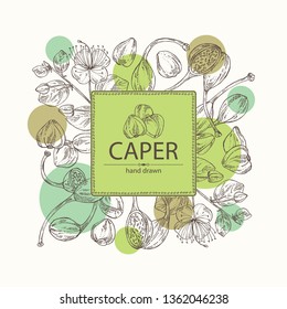 Background with caper: caper bud, pod and flower. Vector hand drawn illustration.