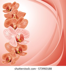 Background for a card with orchid