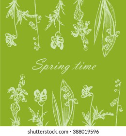 background card sketch hand drawn forest grass and flowers on a green background