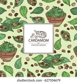 Background with cardamom: seeds and a plate with seeds cardamom. hand drawn
